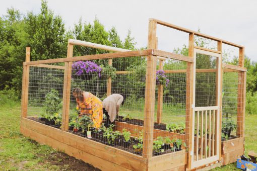 Two women working in SGEI's outdoor raised bed garden