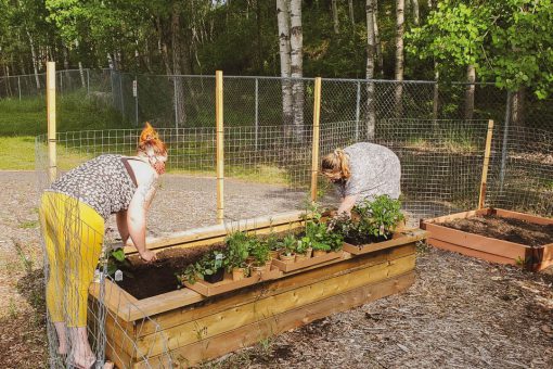 Two women planting in a raised garden bed at SGEI's Kenora campus