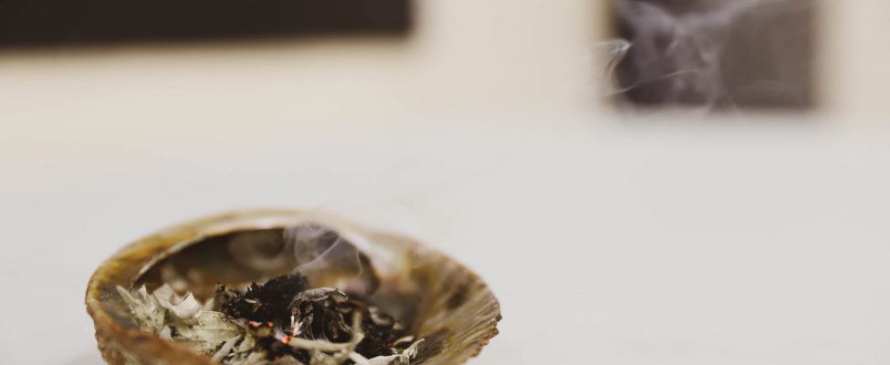 A traditional smudge shell holding sacred herbs