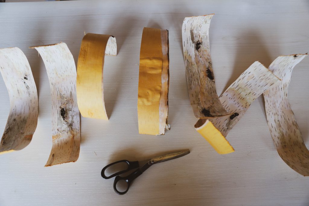 Birch bark cut into various pieces