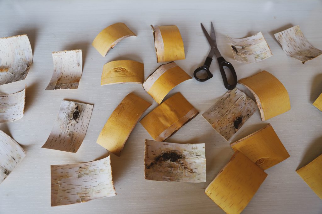 Birch bark cut into various pieces