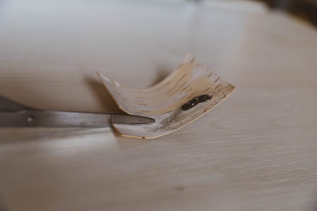 Birch bark being cut for traditional spirit dish