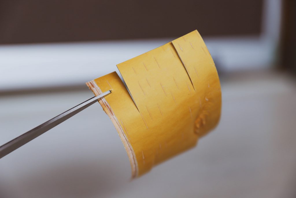 Birch bark being cut for traditional spirit dish