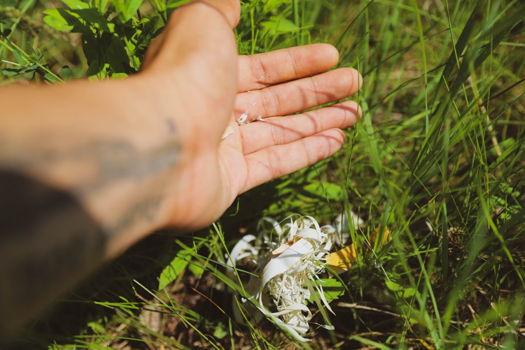 A person returning birch bark trimmings and impurities back to the land