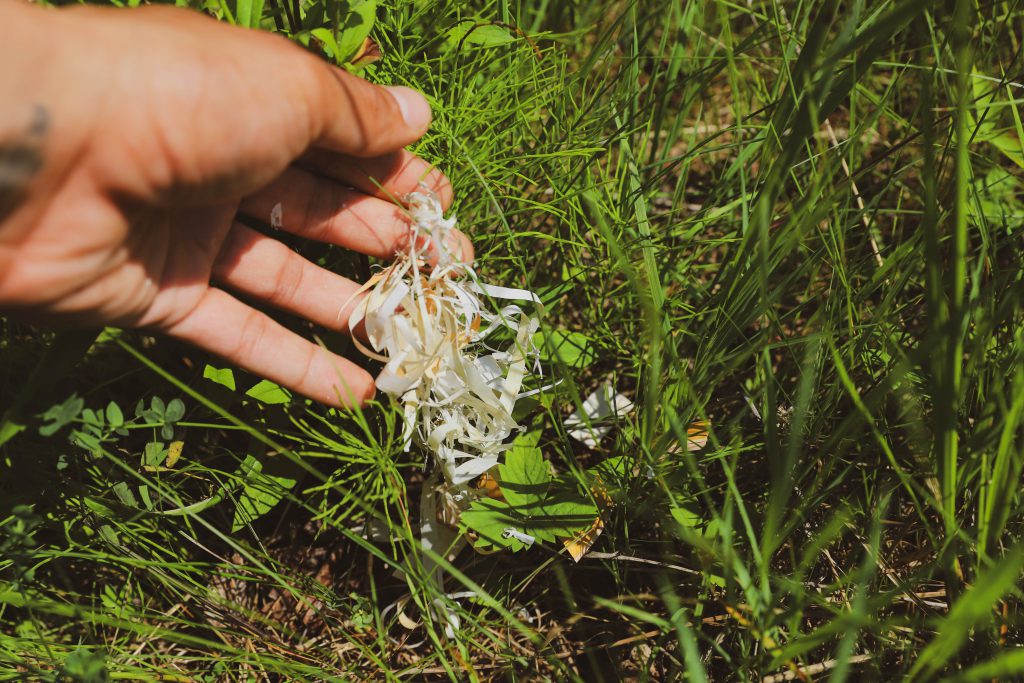 A person returning birch bark trimmings and impurities back to the land