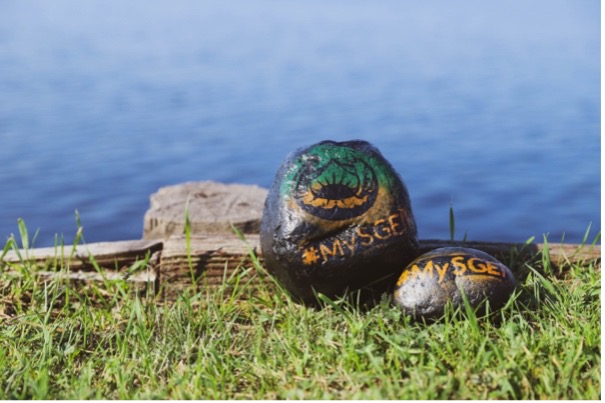 A couple rocks set against the serene backdrop of a picturesque lake