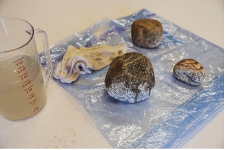 Rocks being washed for painting on a plastic sheet