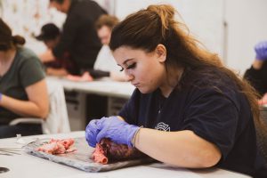SGEI student dissecting a pig heart in lab