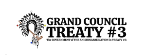 Screenshot 2026-09-14 at 10.10.20 AM Grand Council Treaty #3 Logo